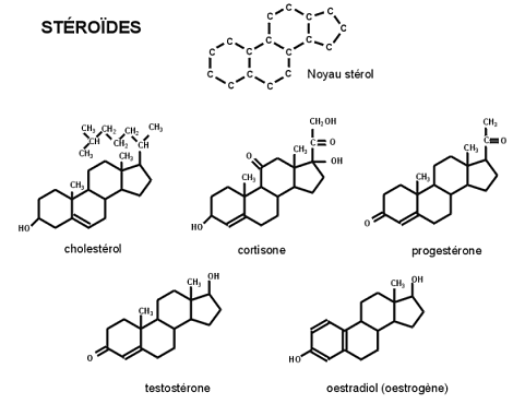 Testosterone molecular formula